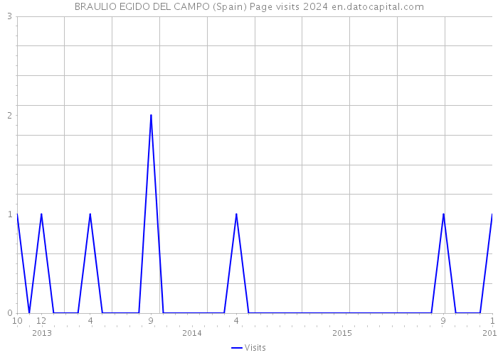 BRAULIO EGIDO DEL CAMPO (Spain) Page visits 2024 