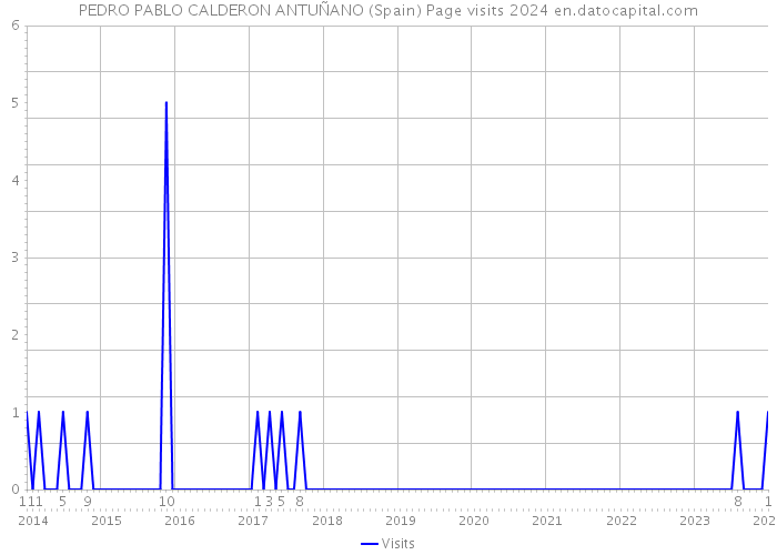PEDRO PABLO CALDERON ANTUÑANO (Spain) Page visits 2024 