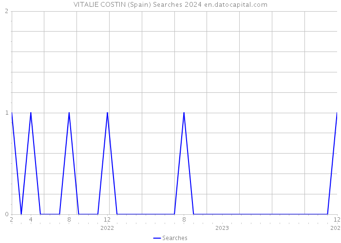 VITALIE COSTIN (Spain) Searches 2024 