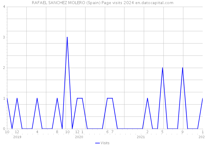 RAFAEL SANCHEZ MOLERO (Spain) Page visits 2024 