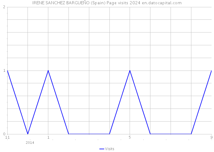 IRENE SANCHEZ BARGUEÑO (Spain) Page visits 2024 