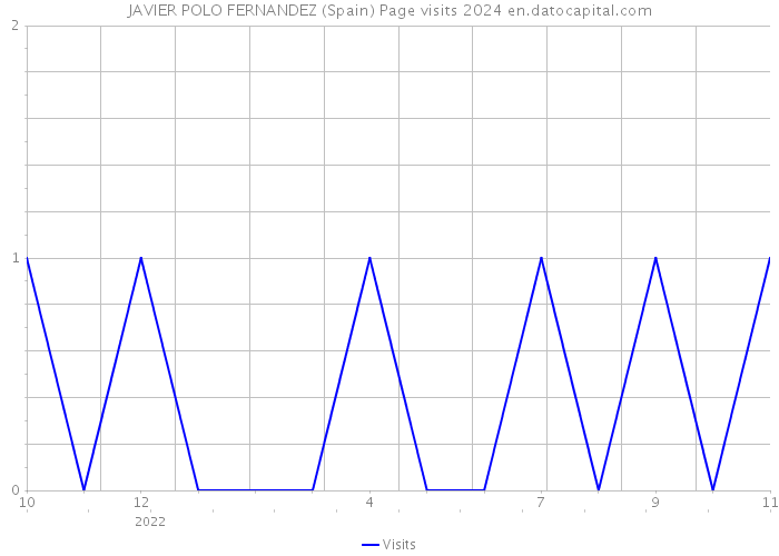 JAVIER POLO FERNANDEZ (Spain) Page visits 2024 