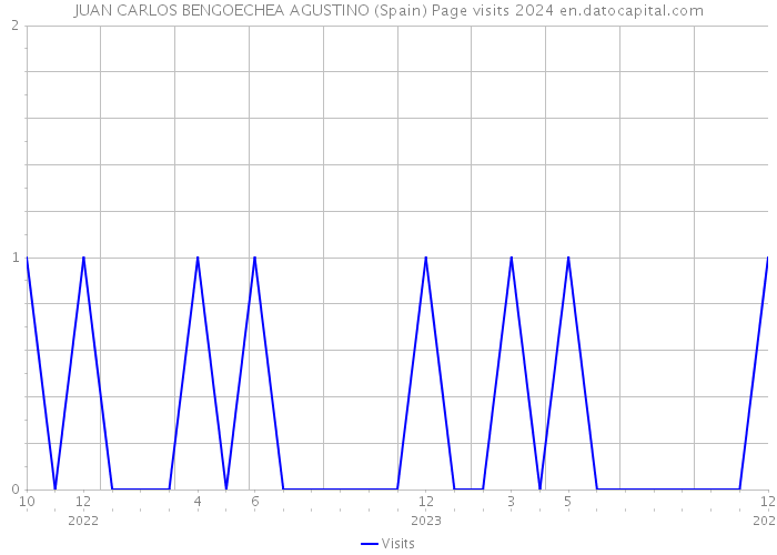 JUAN CARLOS BENGOECHEA AGUSTINO (Spain) Page visits 2024 