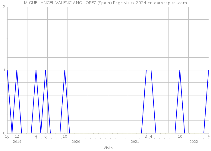 MIGUEL ANGEL VALENCIANO LOPEZ (Spain) Page visits 2024 