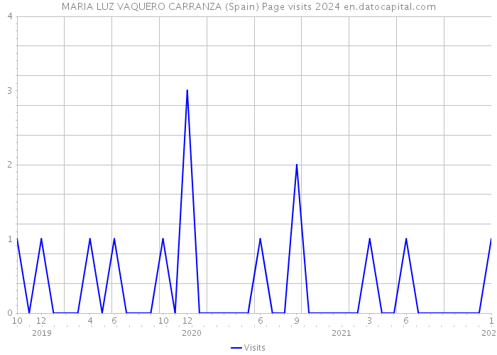 MARIA LUZ VAQUERO CARRANZA (Spain) Page visits 2024 