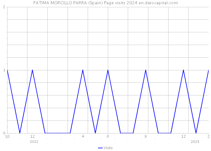 FATIMA MORCILLO PARRA (Spain) Page visits 2024 