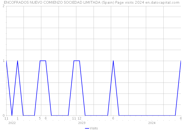 ENCOFRADOS NUEVO COMIENZO SOCIEDAD LIMITADA (Spain) Page visits 2024 