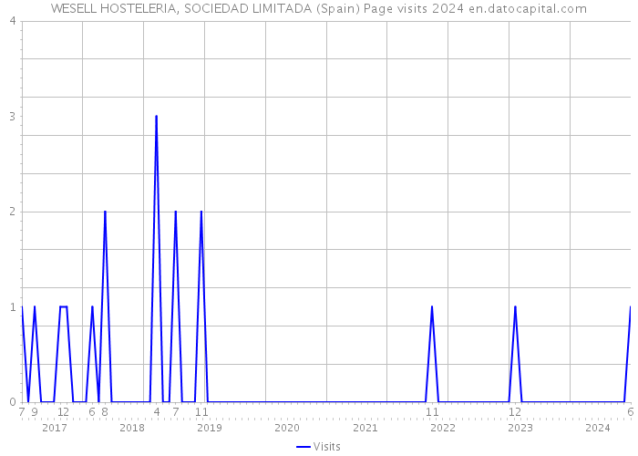 WESELL HOSTELERIA, SOCIEDAD LIMITADA (Spain) Page visits 2024 