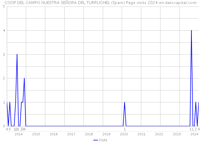 COOP DEL CAMPO NUESTRA SEÑORA DEL TURRUCHEL (Spain) Page visits 2024 