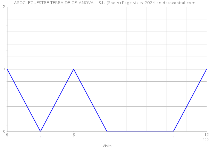 ASOC. ECUESTRE TERRA DE CELANOVA.- S.L. (Spain) Page visits 2024 