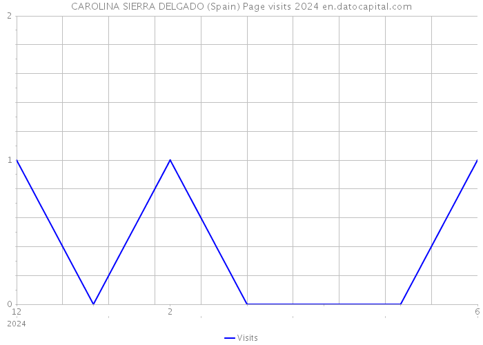 CAROLINA SIERRA DELGADO (Spain) Page visits 2024 