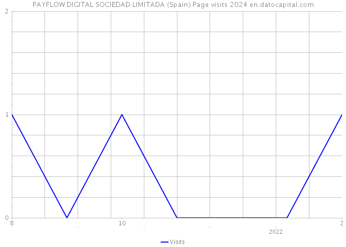 PAYFLOW DIGITAL SOCIEDAD LIMITADA (Spain) Page visits 2024 