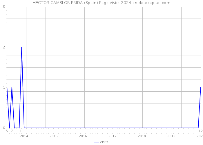 HECTOR CAMBLOR PRIDA (Spain) Page visits 2024 