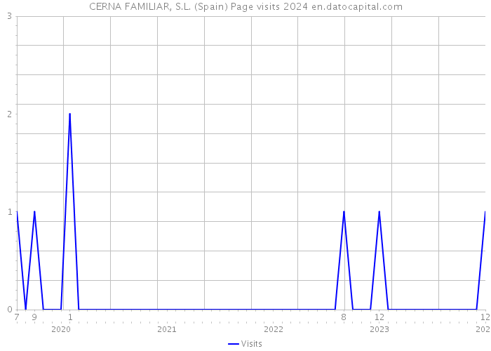 CERNA FAMILIAR, S.L. (Spain) Page visits 2024 