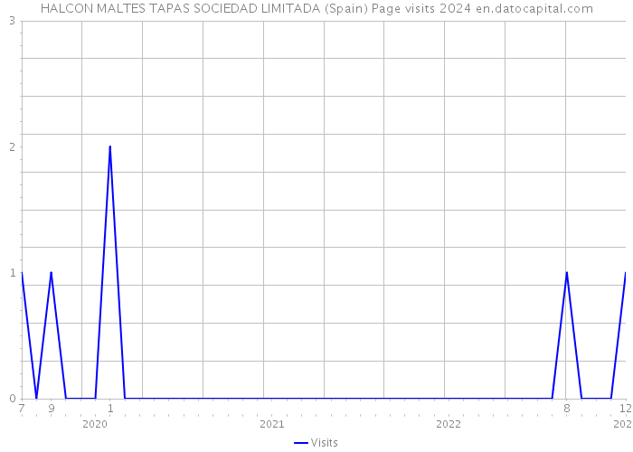 HALCON MALTES TAPAS SOCIEDAD LIMITADA (Spain) Page visits 2024 