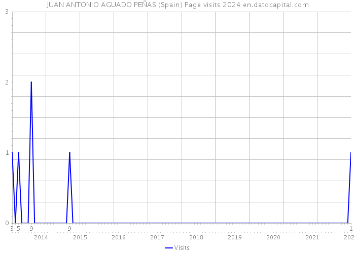 JUAN ANTONIO AGUADO PEÑAS (Spain) Page visits 2024 