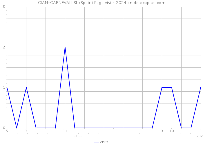 CIAN-CARNEVALI SL (Spain) Page visits 2024 