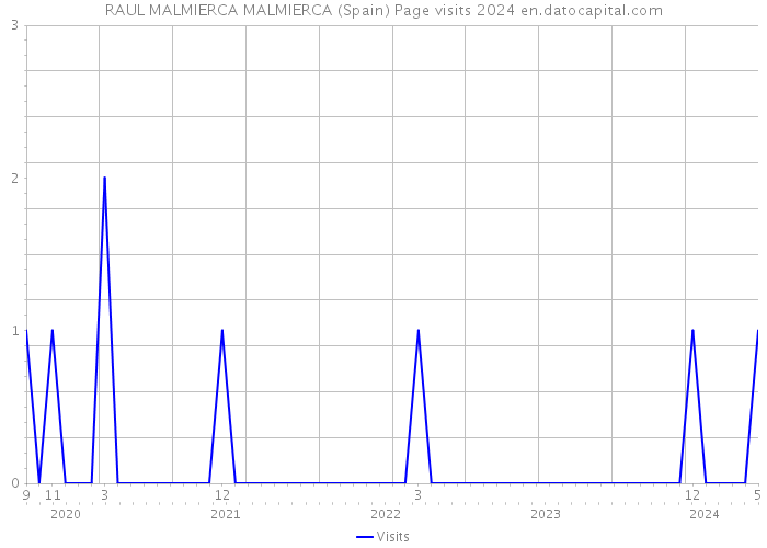 RAUL MALMIERCA MALMIERCA (Spain) Page visits 2024 