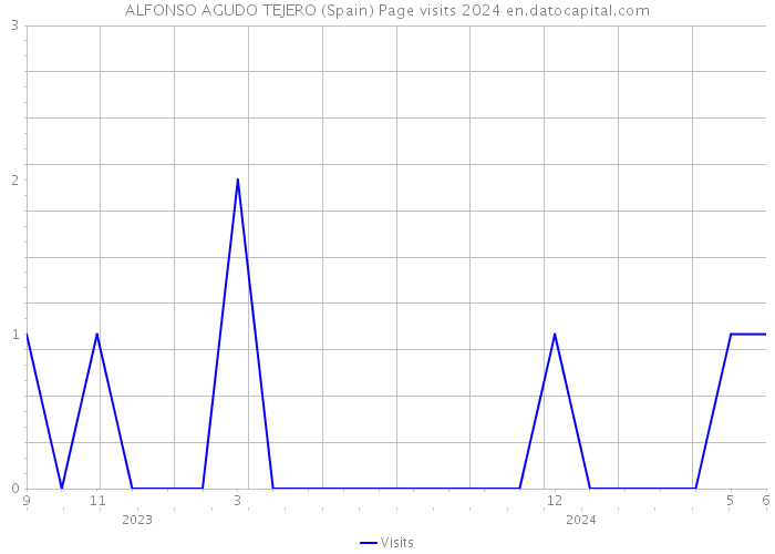 ALFONSO AGUDO TEJERO (Spain) Page visits 2024 