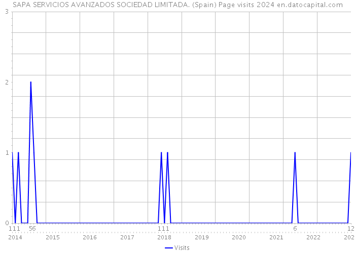SAPA SERVICIOS AVANZADOS SOCIEDAD LIMITADA. (Spain) Page visits 2024 