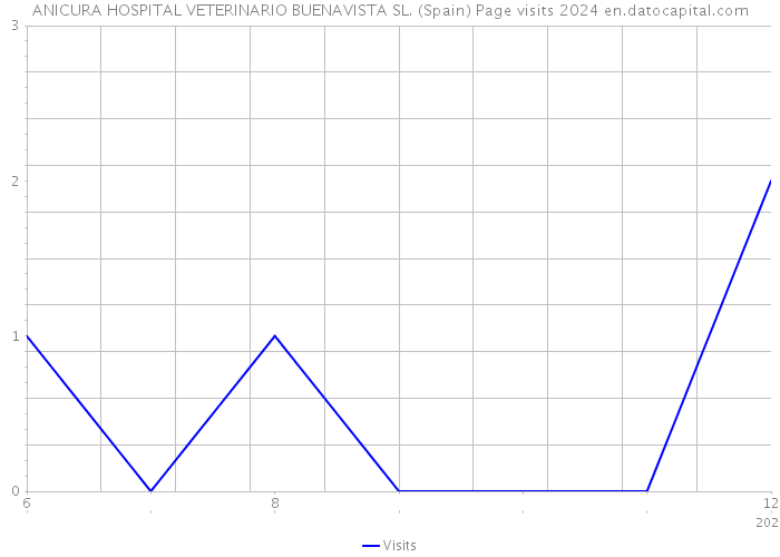 ANICURA HOSPITAL VETERINARIO BUENAVISTA SL. (Spain) Page visits 2024 