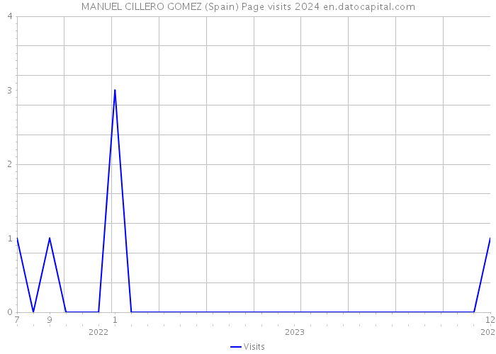 MANUEL CILLERO GOMEZ (Spain) Page visits 2024 