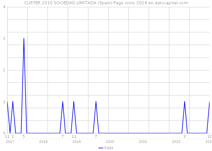 CUSTER 2016 SOCIEDAD LIMITADA (Spain) Page visits 2024 