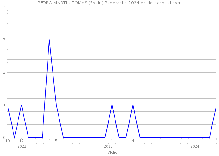 PEDRO MARTIN TOMAS (Spain) Page visits 2024 