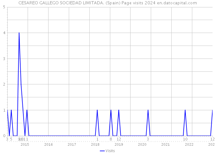 CESAREO GALLEGO SOCIEDAD LIMITADA. (Spain) Page visits 2024 