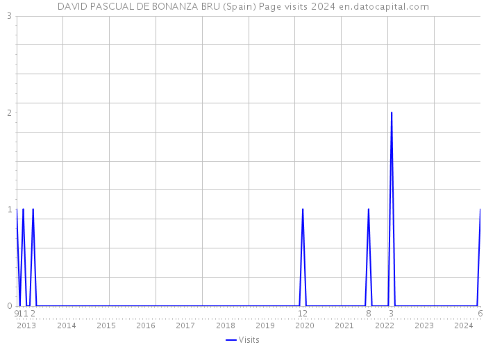 DAVID PASCUAL DE BONANZA BRU (Spain) Page visits 2024 