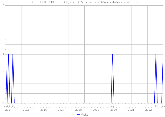 REYES PULIDO PORTILLO (Spain) Page visits 2024 