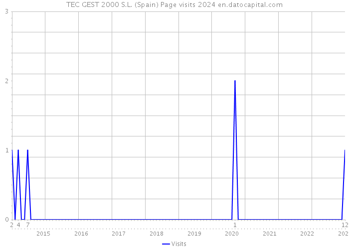 TEC GEST 2000 S.L. (Spain) Page visits 2024 