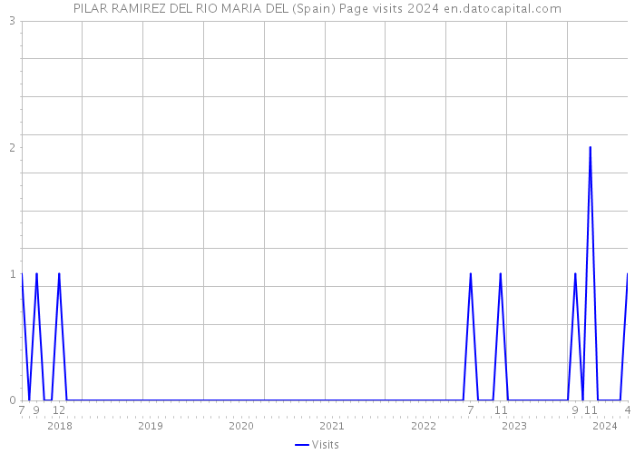 PILAR RAMIREZ DEL RIO MARIA DEL (Spain) Page visits 2024 