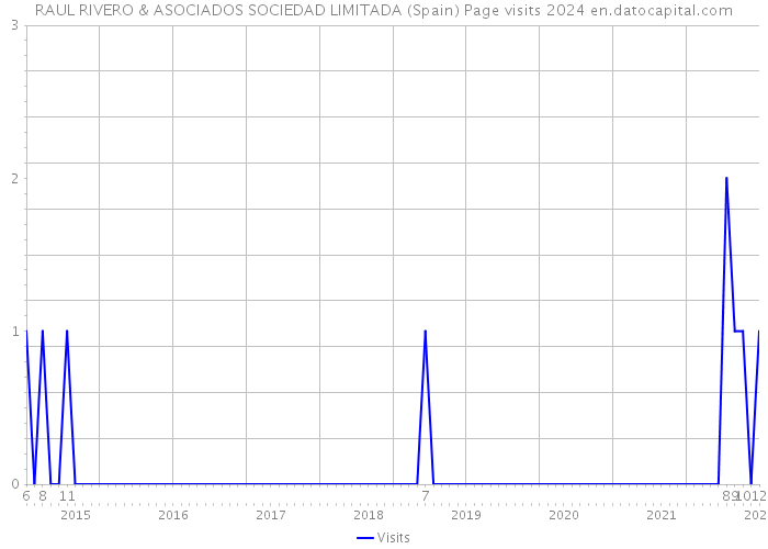 RAUL RIVERO & ASOCIADOS SOCIEDAD LIMITADA (Spain) Page visits 2024 