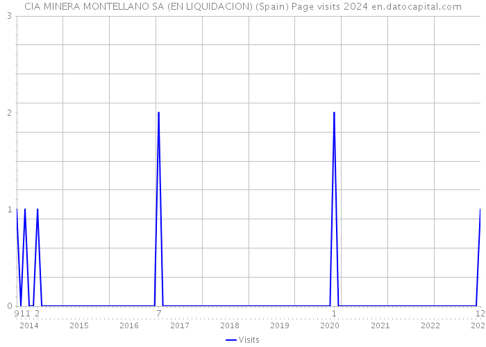 CIA MINERA MONTELLANO SA (EN LIQUIDACION) (Spain) Page visits 2024 