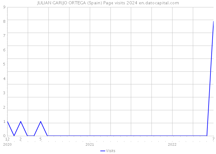 JULIAN GARIJO ORTEGA (Spain) Page visits 2024 