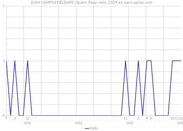 JOAN CAMPAS DELSAMS (Spain) Page visits 2024 