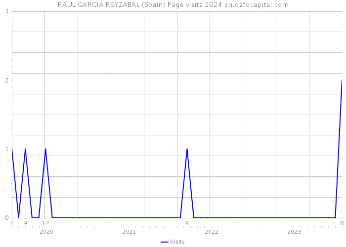RAUL GARCIA REYZABAL (Spain) Page visits 2024 