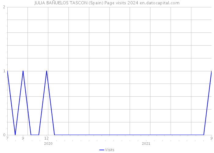 JULIA BAÑUELOS TASCON (Spain) Page visits 2024 