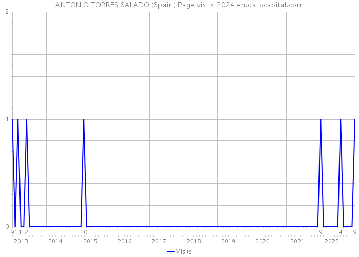 ANTONIO TORRES SALADO (Spain) Page visits 2024 