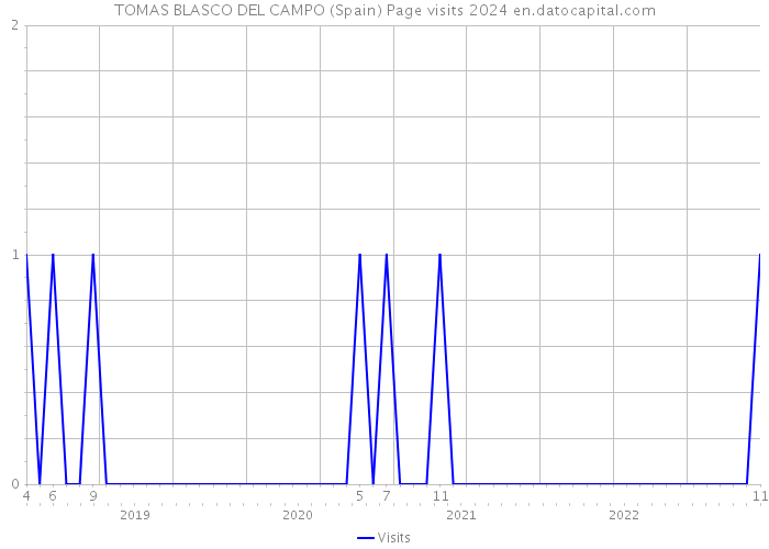 TOMAS BLASCO DEL CAMPO (Spain) Page visits 2024 