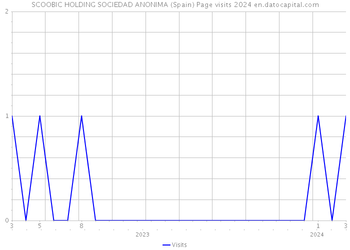 SCOOBIC HOLDING SOCIEDAD ANONIMA (Spain) Page visits 2024 