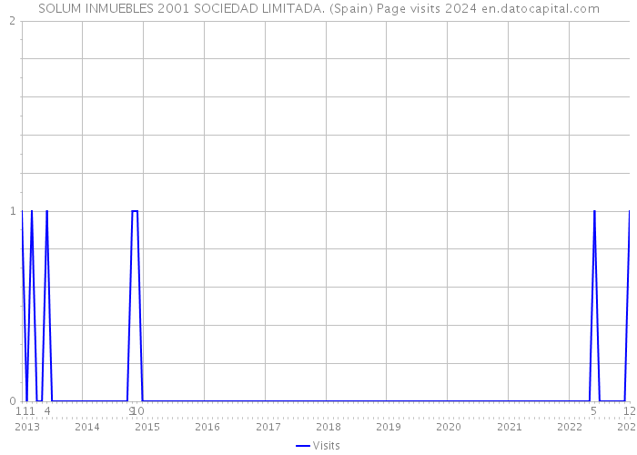 SOLUM INMUEBLES 2001 SOCIEDAD LIMITADA. (Spain) Page visits 2024 