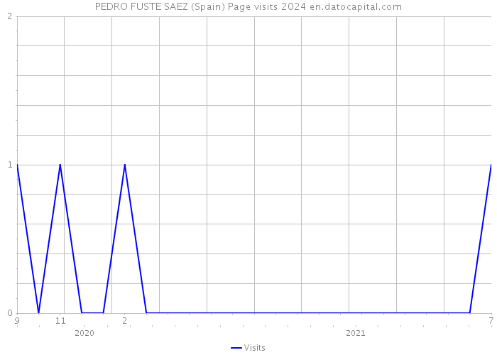 PEDRO FUSTE SAEZ (Spain) Page visits 2024 