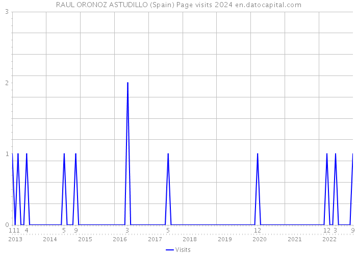 RAUL ORONOZ ASTUDILLO (Spain) Page visits 2024 