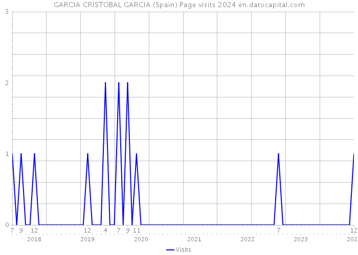GARCIA CRISTOBAL GARCIA (Spain) Page visits 2024 