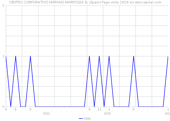 CENTRO CORPORATIVO HISPANO MARROQUI SL (Spain) Page visits 2024 