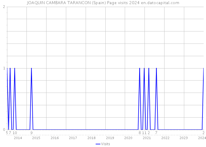 JOAQUIN CAMBARA TARANCON (Spain) Page visits 2024 