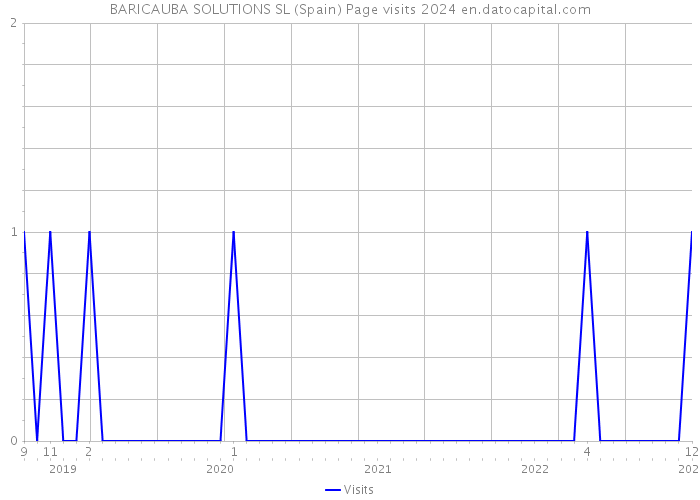 BARICAUBA SOLUTIONS SL (Spain) Page visits 2024 
