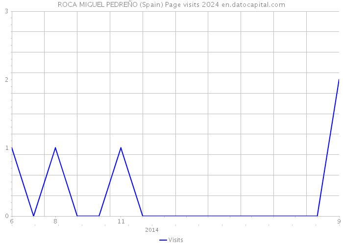 ROCA MIGUEL PEDREÑO (Spain) Page visits 2024 